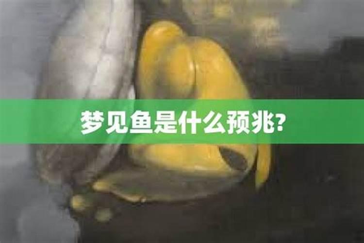长春大学生清明节去哪玩