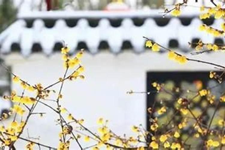 婚配属相表四大忌口诀,八字合婚免费测试