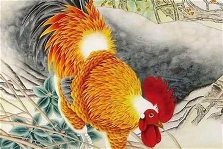 属鸡犯太岁的年份