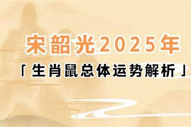 2023年董易奇运程车