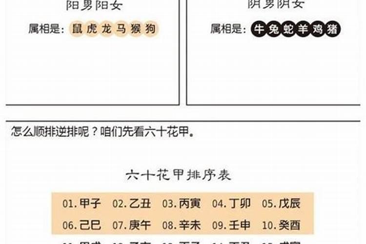 如何排八字大运流年
