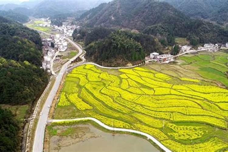 通山县景点