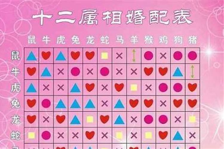 兔跟兔的婚姻长久吗,两个属兔结婚好吗？