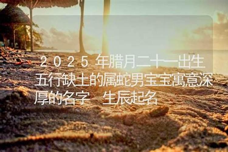 生肖蛇2025年运势及运程如何