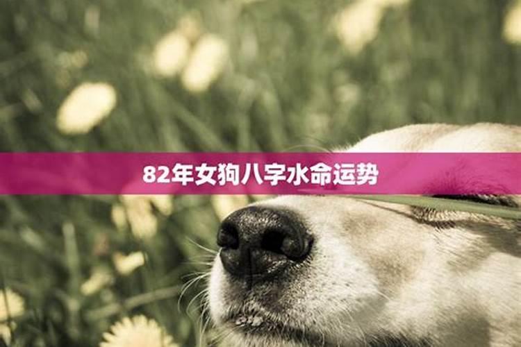 82年大海水命五行缺火,多烂桃花佩戴云海石化解