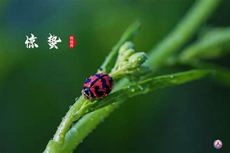 梦见已死去的人要跟我结婚