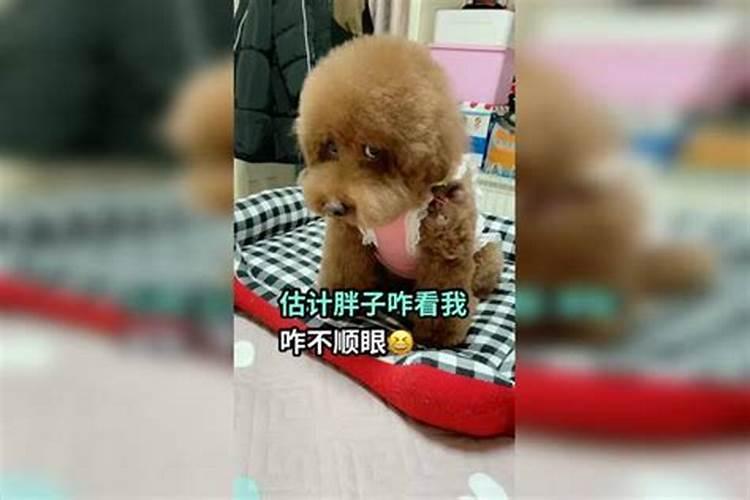 看老公哪里都不顺眼心烦发火