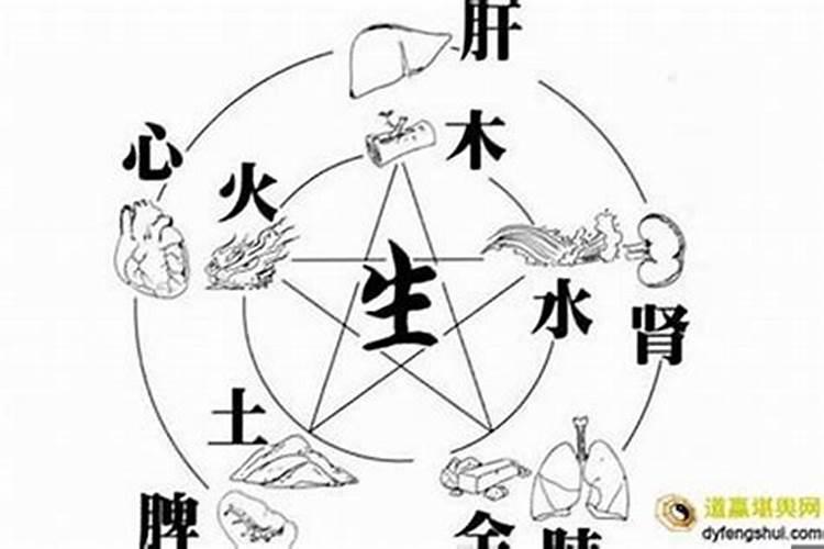 梦见丢失的狗回来了的预兆