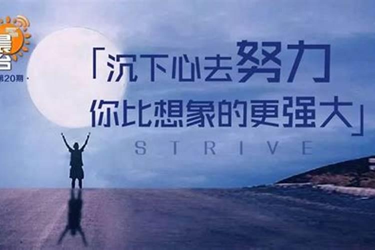 团队合作的重要性