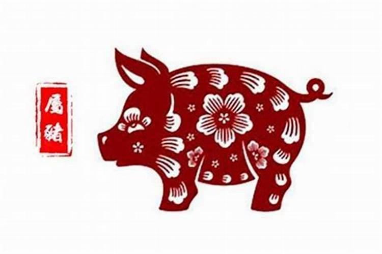 今年猪年的运势怎么样2025年