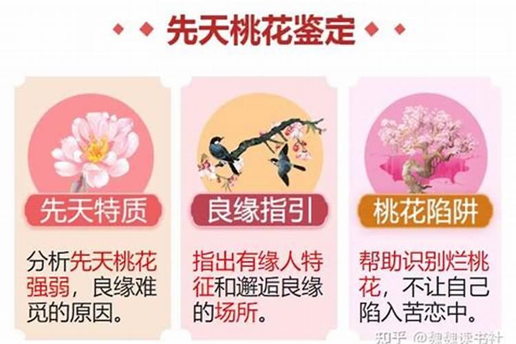 87年2025年属兔人的全年运势