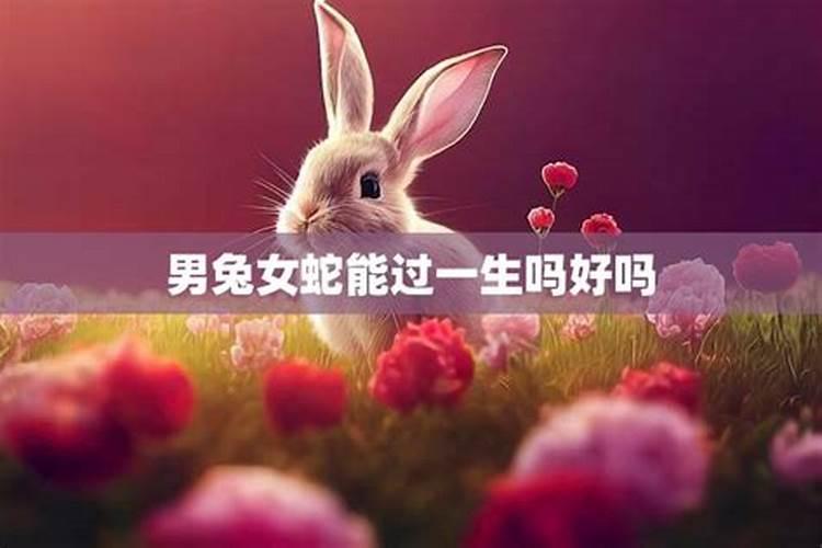 属相兔和属相蛇相配婚姻如何,属兔男和属蛇女在一起配吗？