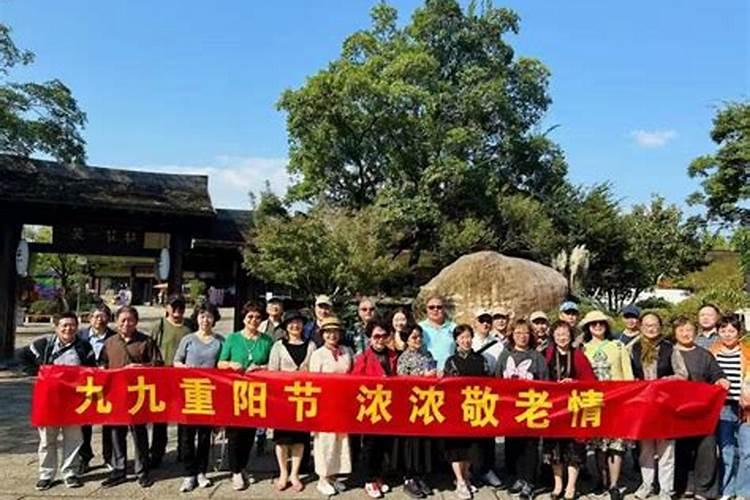 小学重阳节主题活动名称