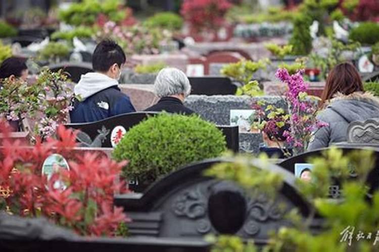 清明节如何网上扫墓呢？