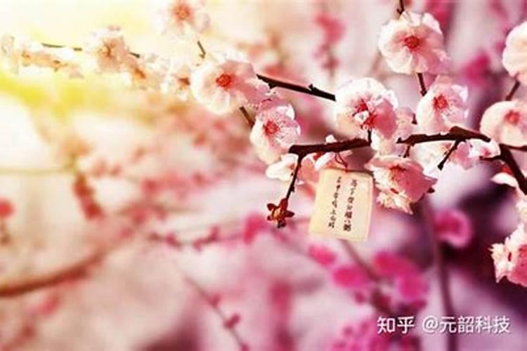 家里女人出轨摆什么可以化解,化解女人出轨的方法