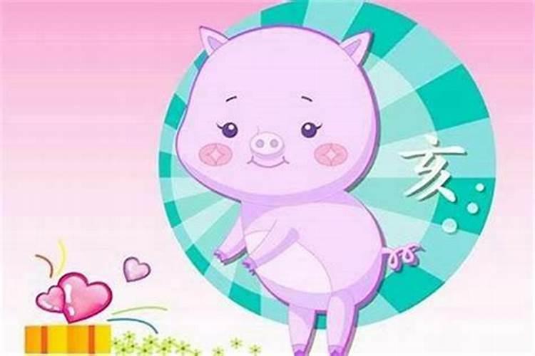 属狗和属猪结合的婚姻匹配吗？