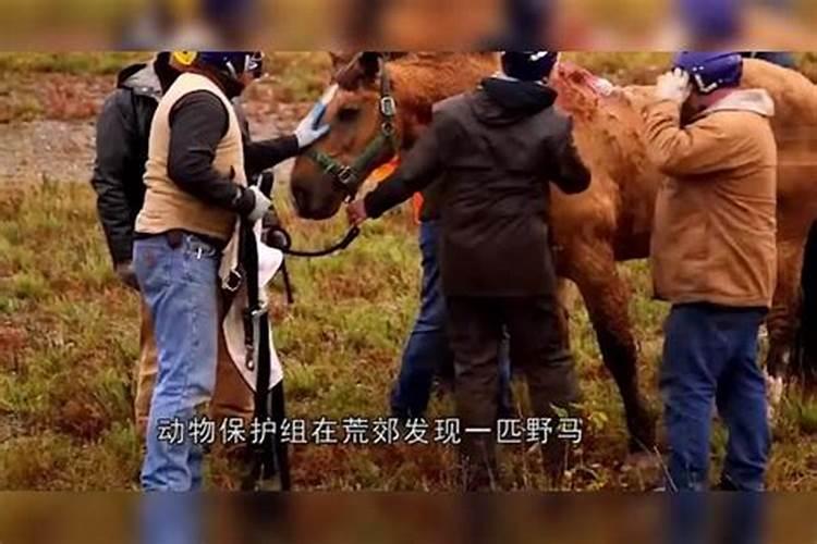 正月十五送灯有什么忌讳