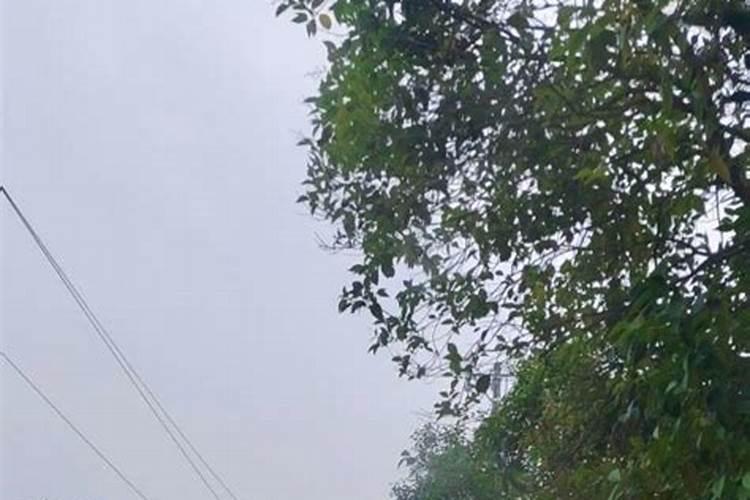 梦见舅舅舅妈有什么预兆？是什么意思？