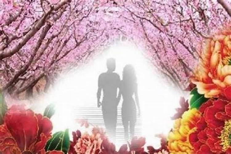属狗6月出生的人命运,82年属狗女六月初二出生的命运