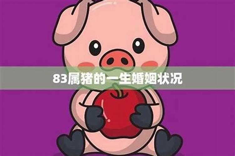 1983属猪婚姻坎坷孤独一生2024 83年猪为啥婚姻不顺