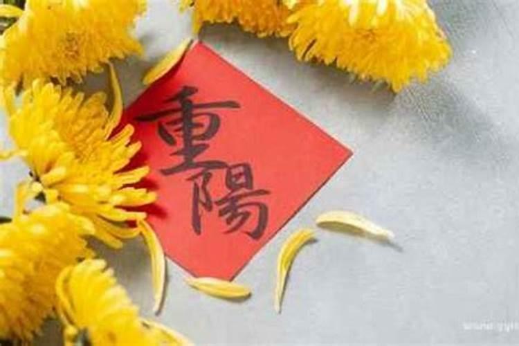 农历1月出生属马人命好吗