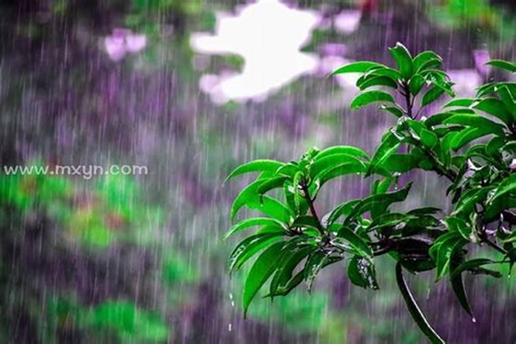 中老年女人梦到下大雨预示什么？