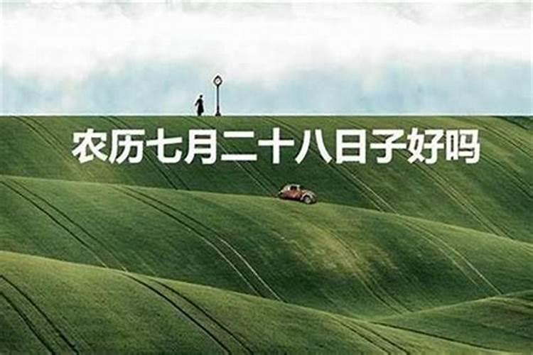 1972年阴历腊月初三出生属猪人09的运程