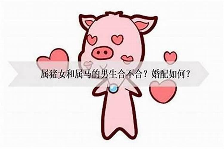 1995年属猪女2025年每月运势