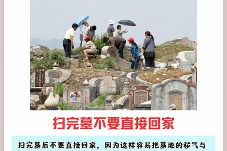 清明扫墓有什么禁忌？清明时节扫墓一定要知道的忌讳