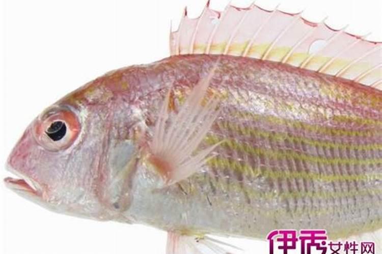 梦见水里有死人
