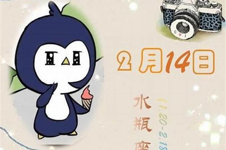 1981年2月14日出生人命运之轮