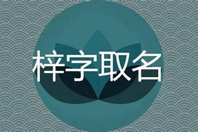 梓字取名帅气男孩名字