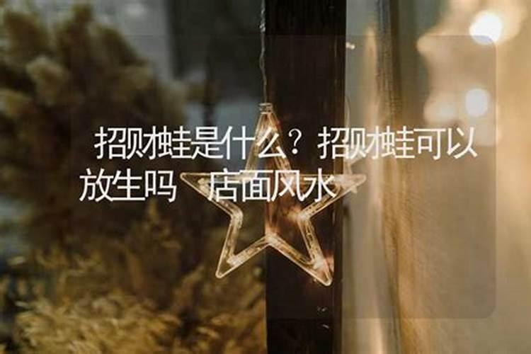 放生能提高财运吗,怎样才能提高自己的偏财运