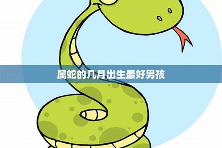 2025年蛇几月出生的孩子最好命