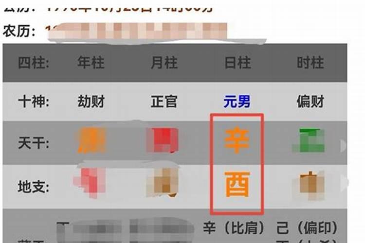 梦见杀猫是吉还是凶？