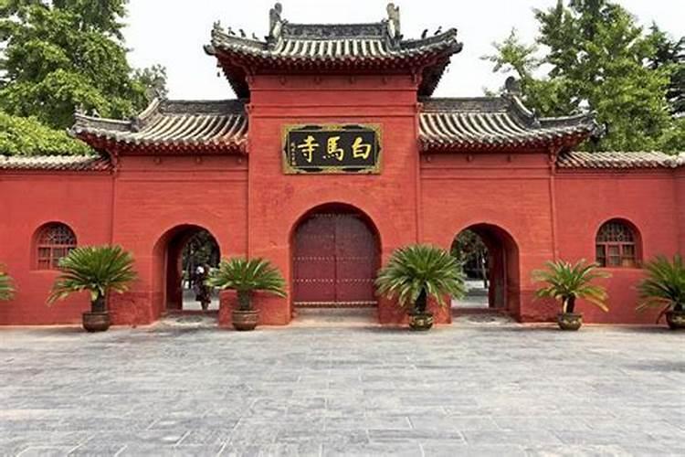 泰安十大名吃都是哪些？