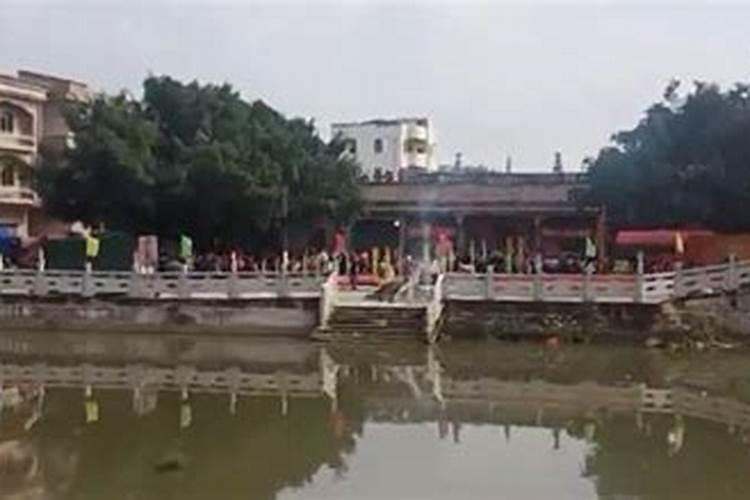 梦见老鼠咬自己左侧腰(陷进去了),揪出来让猫抓却抓不住,女性,求告知...