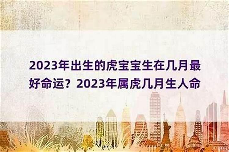属虎人2025全年运势详解 属虎人2025年每月运势