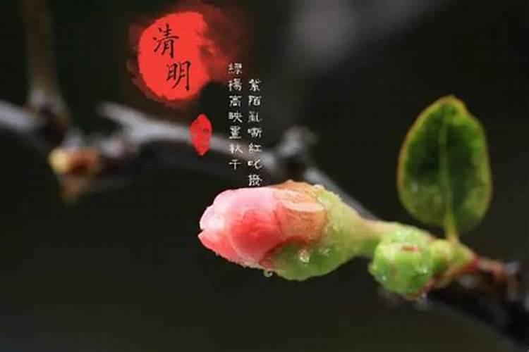 给亡去的人烧纸,是白天烧好,还是夜里烧好。请告知。