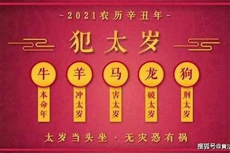 梦见小孩的粑粑弄我一身的预兆