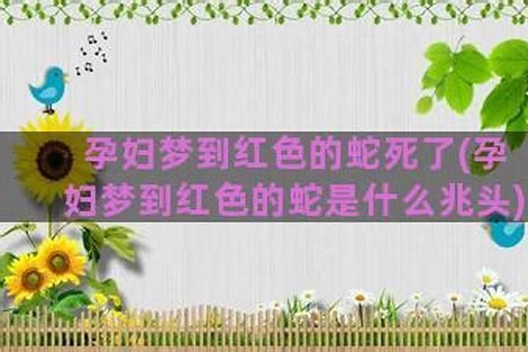 梦见红色蛇死了的预兆