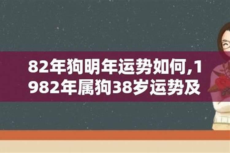 82年的狗2025年运势
