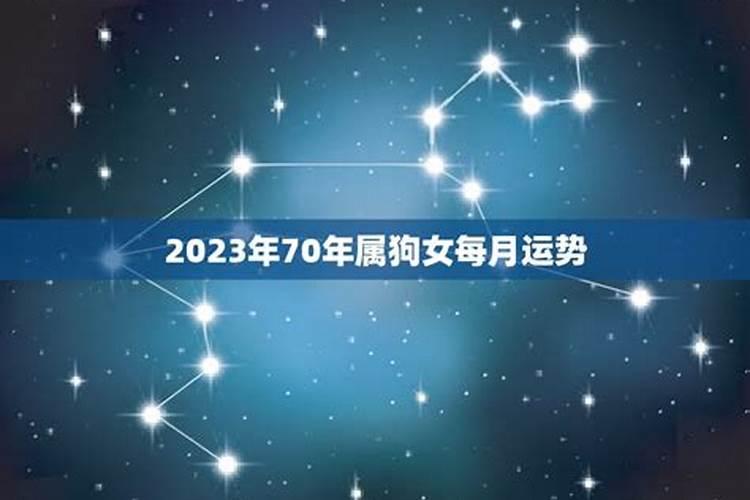 猪年本命年是哪一年