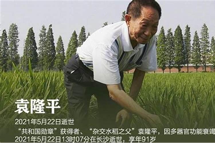 生肖狗男和生肖羊女相配吗 结婚好不好