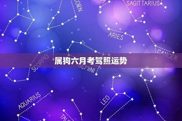 六月属马的人命运如何