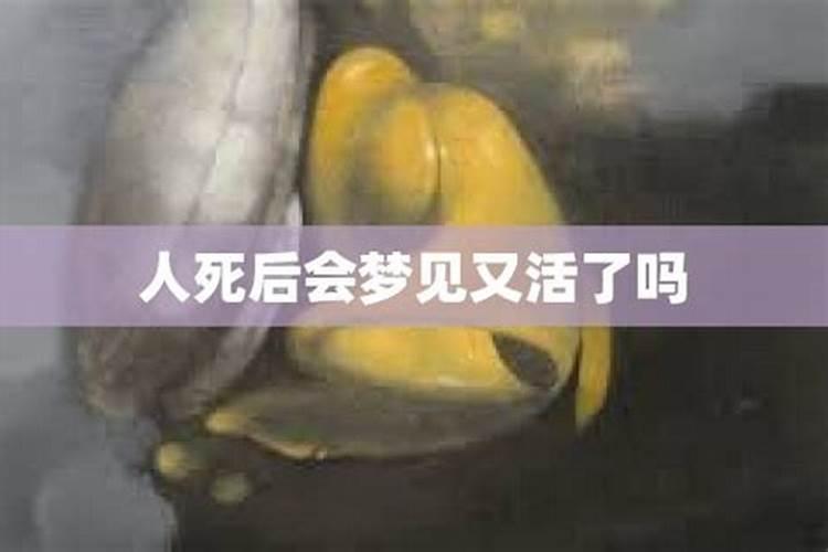 梦见熟人死而复生的预兆