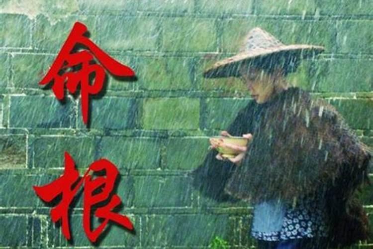 不同季节出生的属虎人命运生肖虎四季命理？