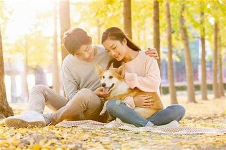男蛇女狗八字合吗？事业财运顺利