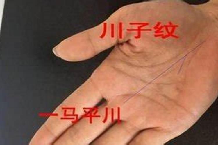明年是什么年2024年属什么生肖年