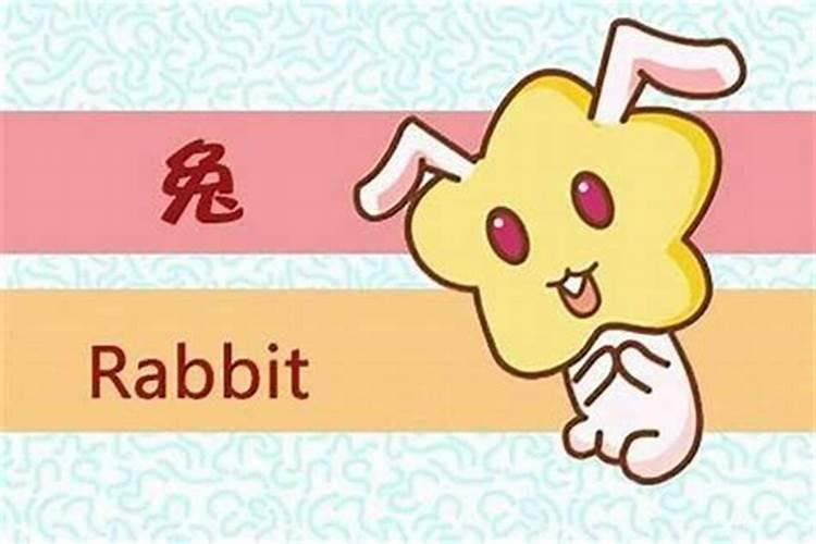 生辰合婚:属虎的女人和属兔男能配吗 婚姻好不好